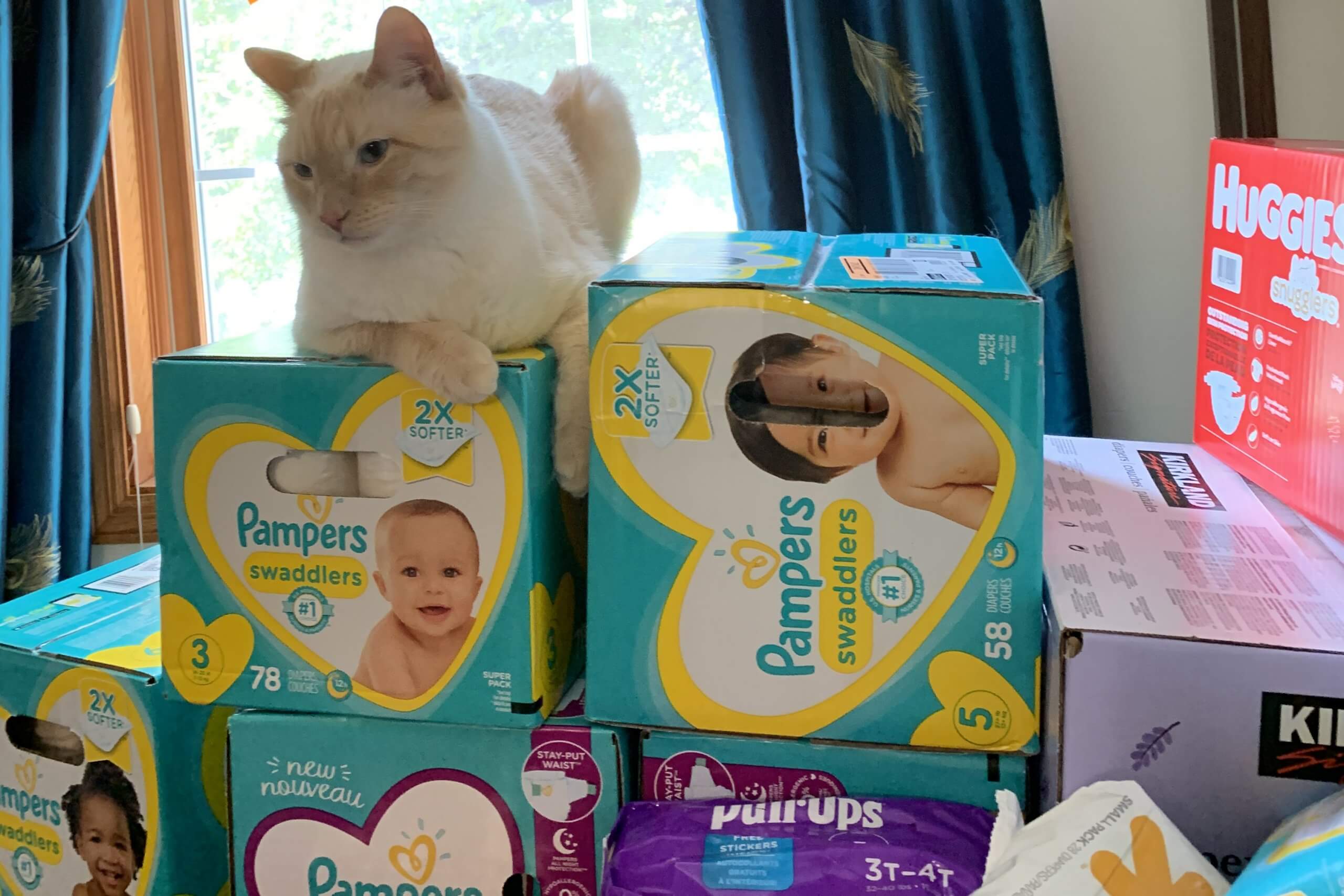 Cloth Encounters: Minnesota Diaper Bank