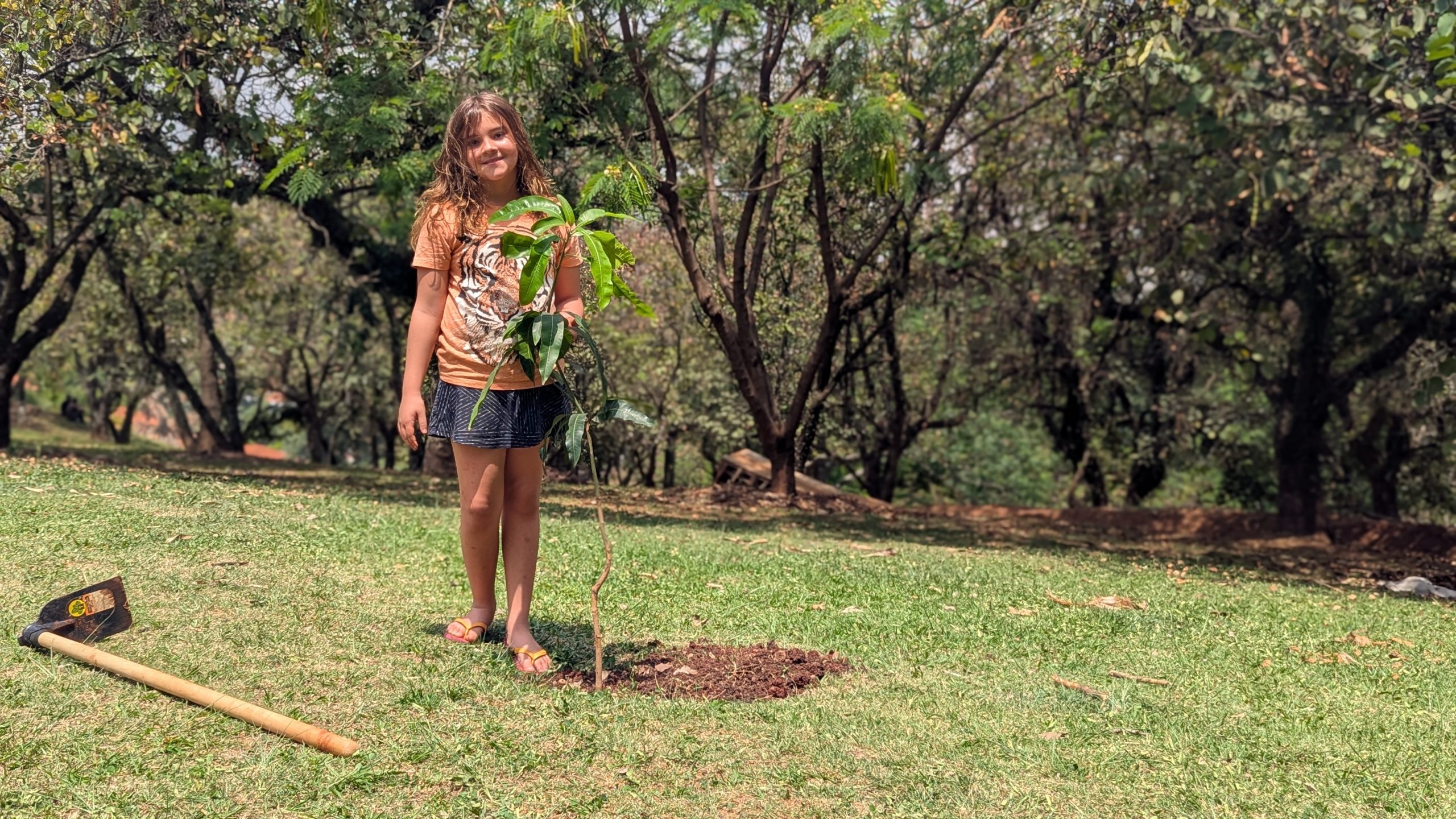 A young girl in an orange t-shirt and shorts is standing in a garden holding s small tree sapling