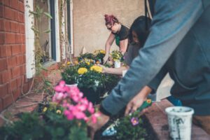 3 women digging in flower beds planted in concrete garden