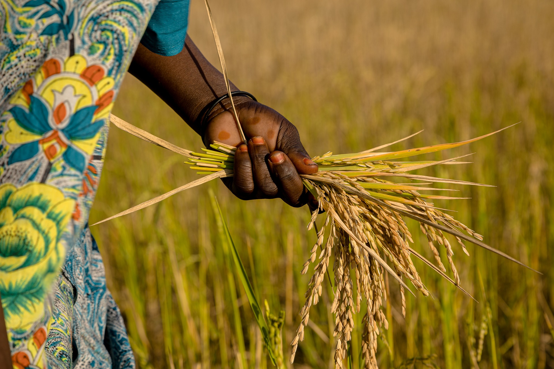 Land for Women: Training for New Knowledge